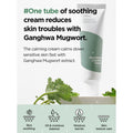 Isntree Mugwort Calming Cream info