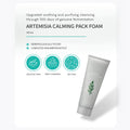 Missha Artemisia Pack Foam Cleanser info